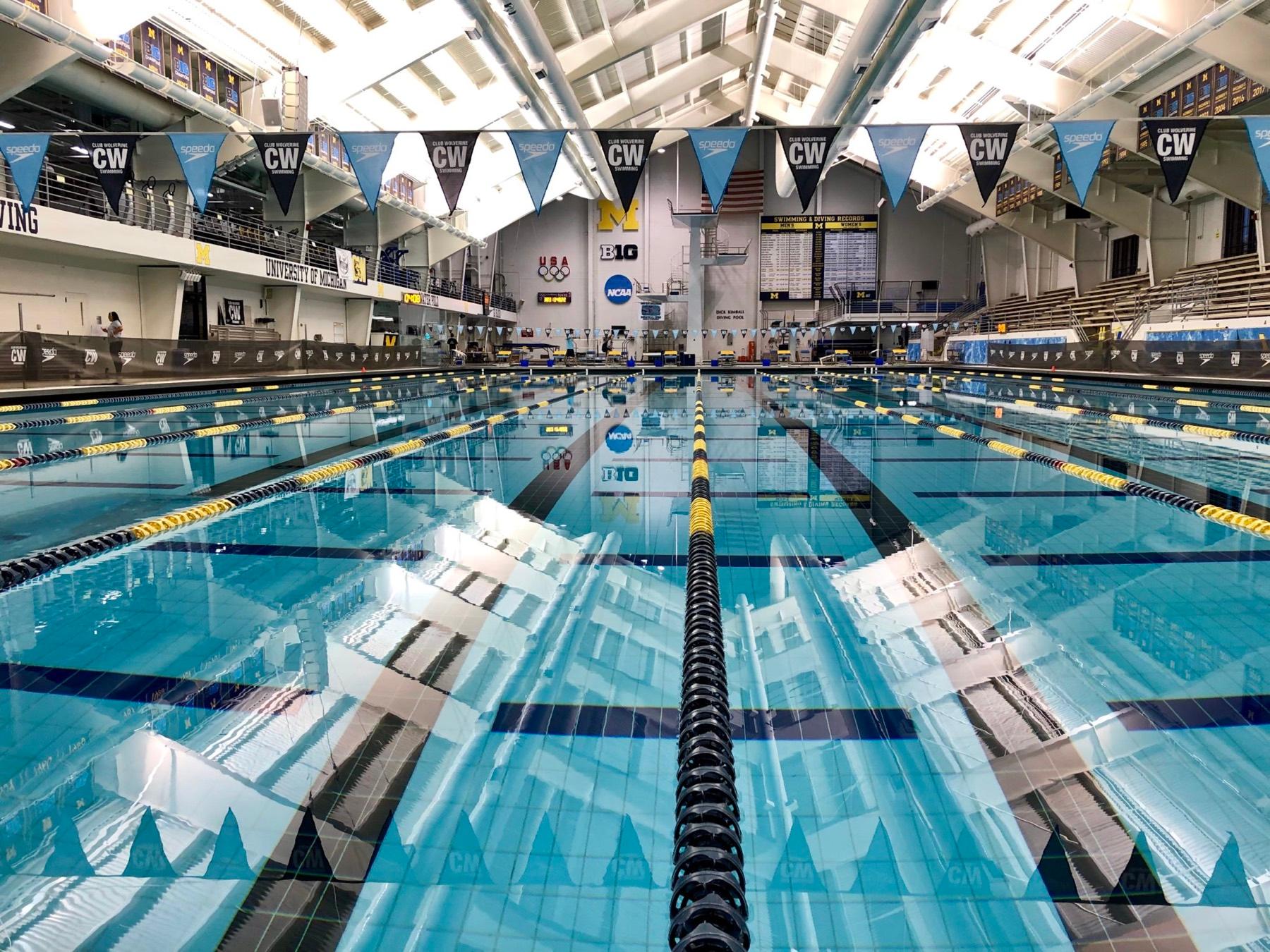 Swim Training Plan Guide: Beginner to Advanced